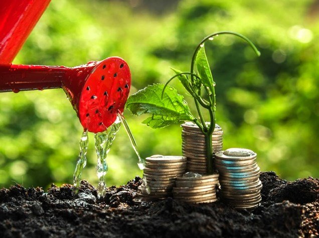 Unternehmensfinanzierung MONTIS BANK